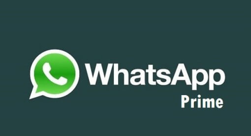 Download And Install WhatsApp Prime APK Latest Version On Android & iOS